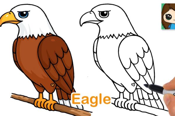 Drawing:ktetjzdofvc= eagle