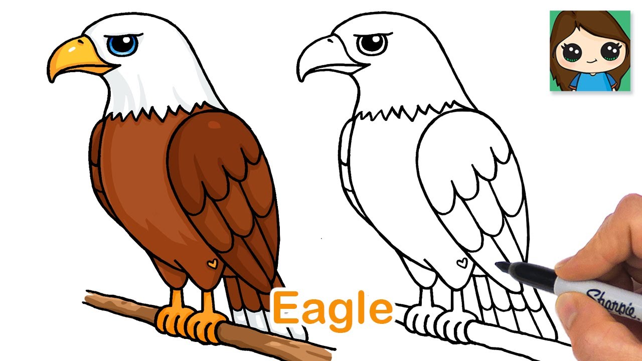 Drawing:ktetjzdofvc= eagle